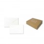 CF100BIGLIETTI BRISTOL 9X14CM BI (8009BIGLIETTO)