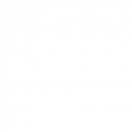 DISTRUGGIDOCUMENTI AUTOMAX 150C (4680102-99)