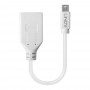 Lindy 41021 cavo DisplayPort 0,15 m Mini DisplayPort Bianco (41021-LND)