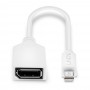 Lindy 41021 cavo DisplayPort 0,15 m Mini DisplayPort Bianco (41021-LND)
