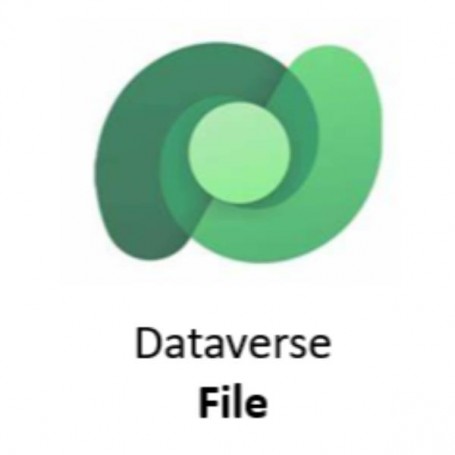 COM DATA SERV FOR APPS FILECAPA EDU (CSP-CO-DSAF-E)