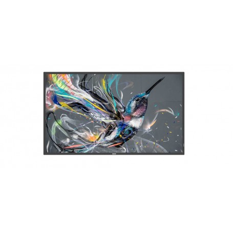 MONITOR 65 Q-LINE 18/7 4K (65BDL3511Q/00)