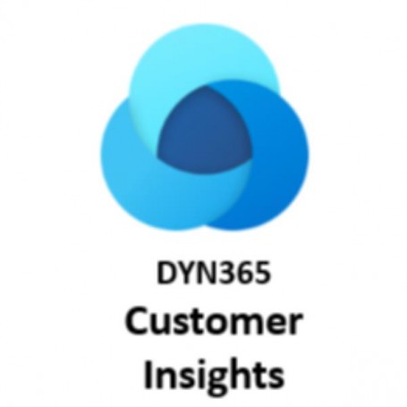 DYNAMICS 365 CUSTOMER INSIGHTS (CFQ7TTC0LH3J-0002)