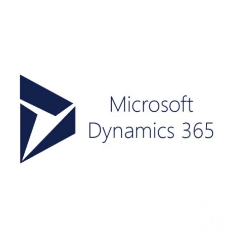 DYNAMICS 365 CUSTOMER INSIGHTS (CFQ7TTC0LH3J-000D)
