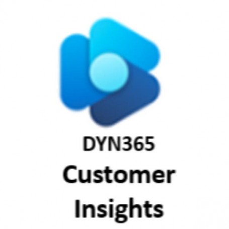 DYNAMICS 365 CUSTOMER INSIGHTS (CFQ7TTC0LH3J-0001)
