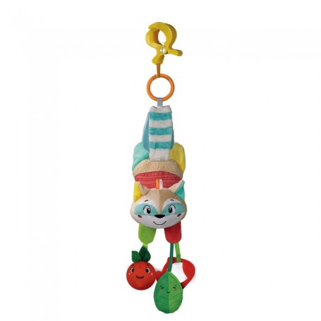 TRAVEL ACTIVITY RACOON