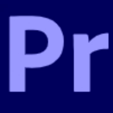 PREMIERPRO TEAMS ML SUB R (65297632BA02B12-12MES)