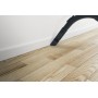 Hoover H-POWER 300 HP330ALG 011 2 L A cilindro Secco 850 W Senza sacchetto
