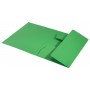 Leitz 39060055 cartella Cartoncino Verde A4