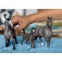schleich HORSE CLUB 13956 action figure giocattolo