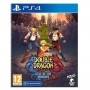 DOUBLE DRAGON GAIDEN PS4