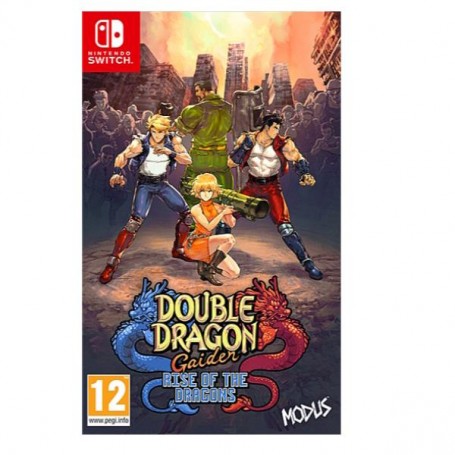 DOUBLE DRAGON GAIDEN SWITCH