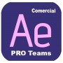 AFTER EFFECTS - PRO TEAMS MULTI