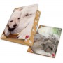 CF6 CART 3LEMBI DOLCI CUCCIO D1,2