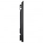 MULTISYNC M981