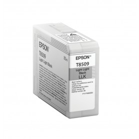 Epson Singlepack Light Light Black T850900 (C13T850900)