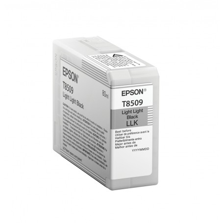 Epson Singlepack Light Light Black T850900 (C13T850900)