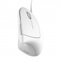 Trust Verto mouse Ufficio Mano destra USB tipo A Ottico 1600 DPI