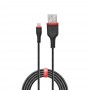 Lindy 31291 cavo Lightning 1 m Nero