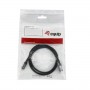 USB 4 GEN 3 C TO C CABLE, M/M, 2.0M