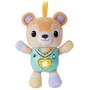 TEDDY ORSETTO CANTERINO