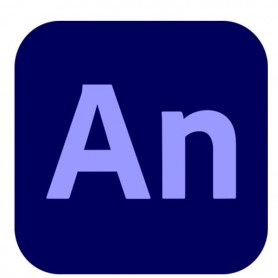 ANIMATE PRO TEAMS ML SUB R