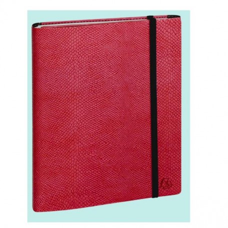 AG SETT EXA ALL IN 1 ROSSO 17M SC