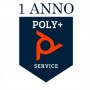 1Y POLY+ STUDIO USB