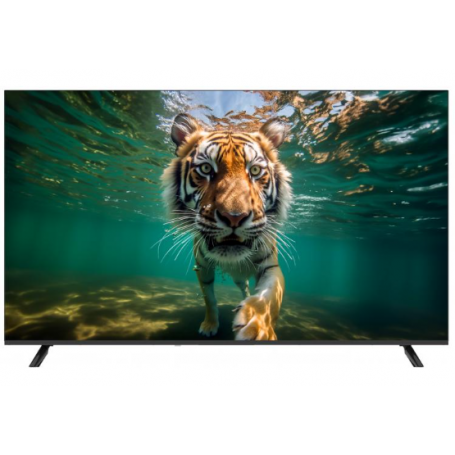 TELEVISORE LED ULTRA HD DA 55 SMART S.O. VIDAA