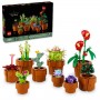 PIANTINE LEGO  ICONS