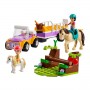 RIMORCHIO CON CAVALLO E PONY