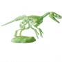 ARCHEOGIOCANDO - VELOCIRAPTOR