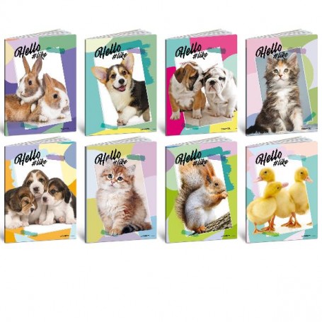 CF10 HELLO PETS 100G 24FF+1 0A