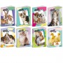 CF10 HELLO PETS 100G 24FF+1 0A