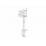Equip Staffa di montaggio da tavolo articolata per doppio monitor da 17“-32”, bianco