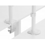 Equip Staffa di montaggio da tavolo articolata per doppio monitor da 17“-32”, bianco