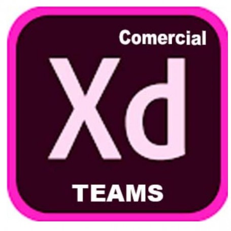 XD PRO TEAMS ML NEW EDU