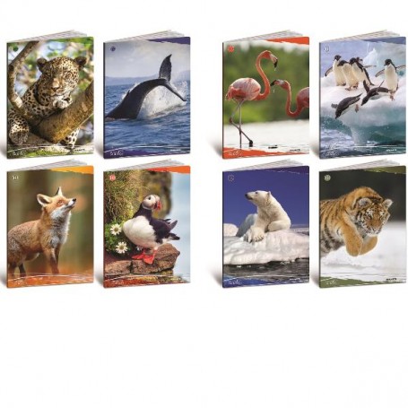 CF10 QUADERNO ANIMALI 100G A4 0A