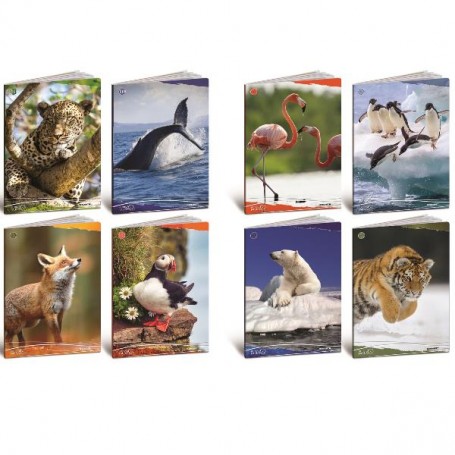 CF10 QUADERNO ANIMALI 100G A4 1R