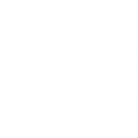 Princess Tostapane fetta lunga