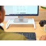 Trust 25351 Supporti a parete per TV Scrivania Trasparente, Bianco