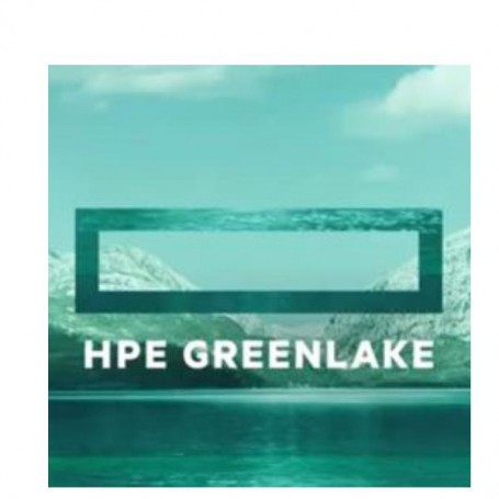 AF40 4U 30300 10GBE ISCSI 8 PORT SF