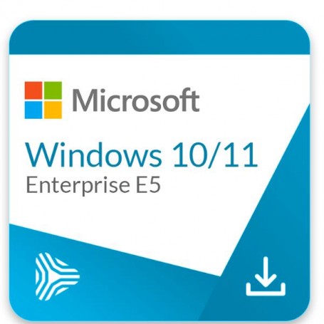 WINDOWS 10/11 ENTERPRISE E5