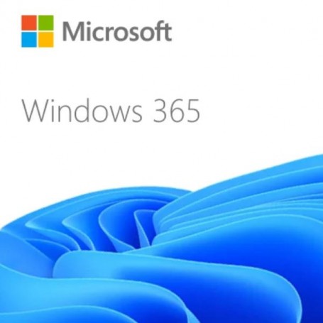 W365BUS2VCPU4GB256GBWITHHYBRIDBEN