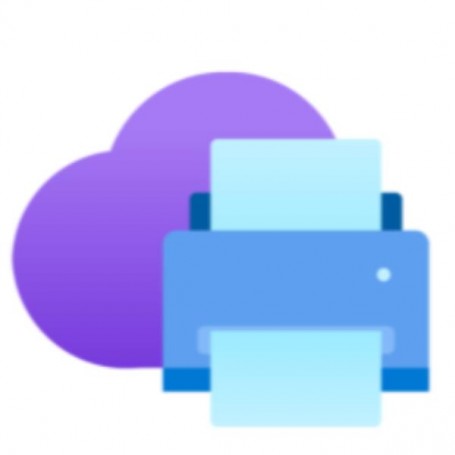 UNIVERSAL PRINT ADDITIONAL CAP 10K