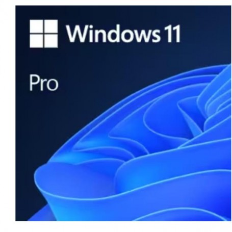 WIN11 PRO UPGRADE