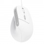 Trust Bayo II mouse Ufficio Mano destra USB tipo A Ottico 2400 DPI