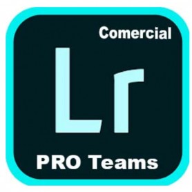 LIGHTR PRO TEAMS ML NEW GOV