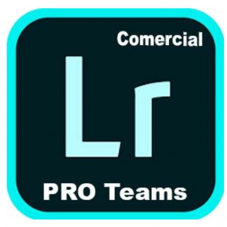 LIGHTR PRO TEAMS ML NEW GOV