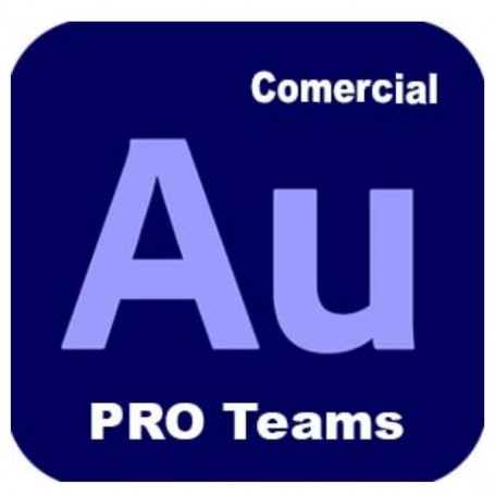 AUDITION PRO TEAM ML NEW GOV